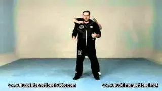 Krav Maga . Vicious Attacks