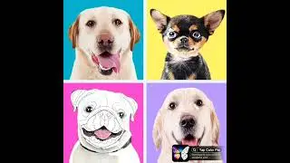 painting by numbers 1 #dogs