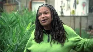 BloomTown: Urban Gardening with Urban Buds