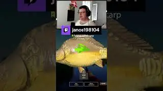 🎣RF4🎣21 kg Frame sided carp🎣#91 (Magyar / PC)🎣Road to 33. Level🎣 | janos198104 &ndash; #Twitch