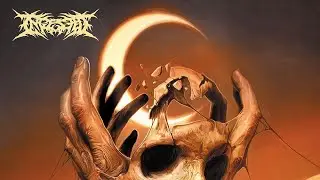 Interview with Lyn Jeffs-Drummer from Ingested