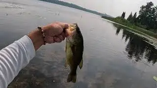 Battling Bass and Heat Stroke!