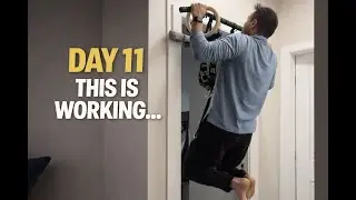 The Habit Is Finally Forming - Day 11 Home Workout