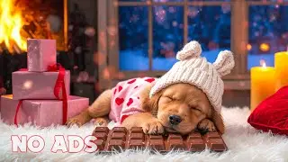 12 Hours Deep Sleep Music for Dogs 🐶 Stop Depression & Sadness 🎵 Boost Happiness 💖 No Ads