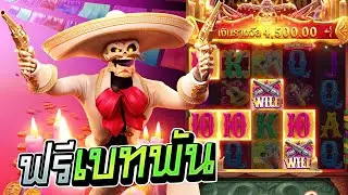 ฟรีเบทพัน || Wild Bandito