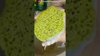 SPONGE SQUEEZING ASMR COMPILATION|8| - #spongeasmr #spongesqueezing #deepcleaning #relaxing #asmr