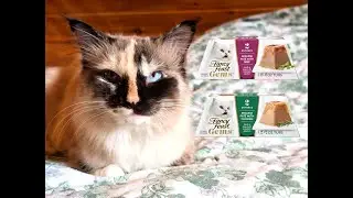 Chise's Cat Food Review | Fancy Feast Gems Mousse Pate Beef vs Chicken Recipe (S1E10)