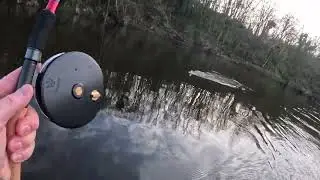 Christmas Barbel On The Float
