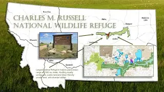 Montana Wild Bison Restoration Coalition Appeal