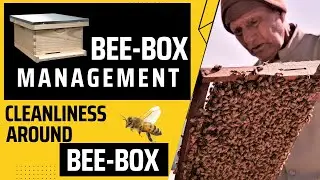 Bee Box beginner's Guide for Summer Management in India, Essential Tips and Techniques #beehive #bee