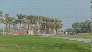 Palms in the MIA Park timelapse, located on one end of the seven kilometers long Corniche in the