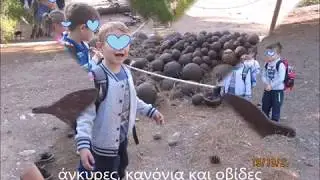 1ο Νηπιαγωγείο Πύλου- Η Ναυμαχία του Ναβαρίνου