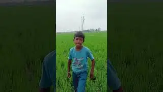 RaheemShah