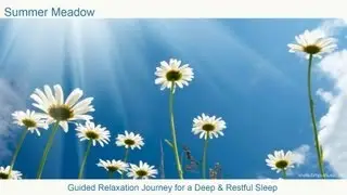Summer Meadow - Guided Relaxation Journey for a Deep & Restful Sleep
