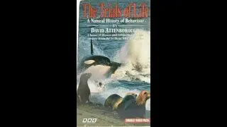 Original VHS Opening and Closing to The Trials of Life Part Two UK VHS Tape