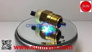 TAIWAN SUNITY - Regulator Assembly TS50 TS60 TS70 TS80 TS105 TS130 TS155 FOR YANMAR TS SERIES