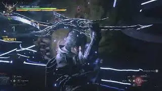S Rank Masterless Marauder