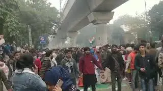 Hindu Sikhs formed Human chain when Muslim pray during protest, Delhi