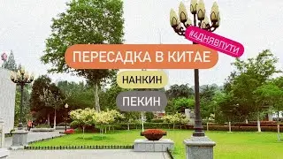 Влог 25: транзит через Китай. Экспресс-тур по Нанкину и Пекину, 2 дня без сна, аэропорт Дасин