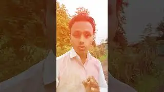 school closed in mp and up....
