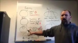 Step 1: Shape of the Container