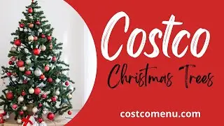 Costco Christmas Trees 2023 #christmasdecorations #chrismtastrees #costcochristmas