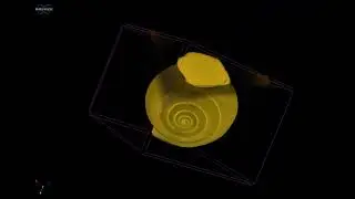 Video Project 3 sea shell stand up 20hr al rec00002 w T Music