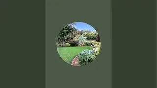 El vato jardinero  está en vivo