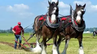 Abreviated video of the Lynden International Plowing Match 2017