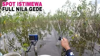 Spot MANCING istimewa