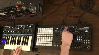 Polyend/Dreadbox - Medusa - Exploring the Presets - Midiverse - TV