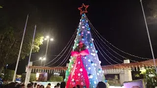 ENCENDIDO DEL ARBOL DE NAVIDAD PLAZA DE MOYOBAMBA