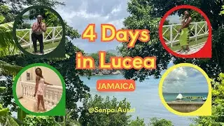 My First Time in Jamaica 🇯🇲 | Grand Palladium Lady Hamilton All-Inclusive Resort Review
