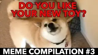 Do you like your new toy? - Meme Compilation #3