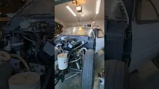 Cold start on the high compression BBF! #startup #highcompression #ford #foxbody #mustang