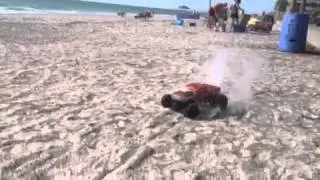 There is a Ruckus on the beach