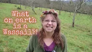 What is a Wassail? What is Wassailing? All about this West Country custom!