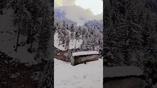 #snow #snowfall #winter #travel #love #murreesnowfall #travelmagic #nature