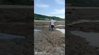 Pantai Selatan  Buraen Amarasi Kab Kupang