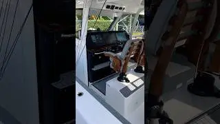 455CC by Everglades at FLIBS 2024. #propsspinning