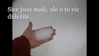 Bachl Bohumilice: PE f&oacute;lie
