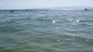 &Tau;&epsilon;&lambda;&epsilon;&upsilon;&tau;&alpha;ί&epsilon;&sigmaf;... &beta;&omicron;&upsilon;&tau;&iota;έ&sigmaf; &sigma;&tau;&iota;&sigmaf; &kappa;&omicron;&nu;&tau;&iota;&nu;έ&sigmaf; &pi;&alpha;&rho;&alpha;&lambda;ί&epsilon;&sigmaf; &tau;&omega;&nu; &Sigma;&epsilon;&rho;&rho;ώ&nu; &pi;&rho;&iota;&nu; &tau;&eta;&nu; έ&nu;&alpha;&rho;&xi;&eta; &tau;&omega;&nu; &sigma;&chi;&omicron;&lambda;&epsilon;ί&omega;&nu; (13/9/2020)