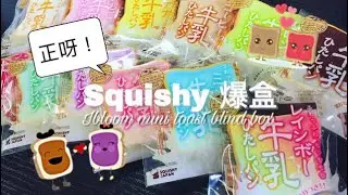 爆盒啦！❤️Ibloom mini toast blind box🍞 🎉片尾有驚喜？😱🎁