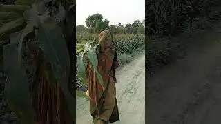 Nana naati 🙏🙏🙏🙏👍
