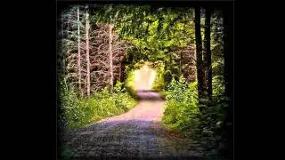 The Flashbulb - A Baptist Church In Georgia - Love As A Dark Hallway - 2011 [6/13]