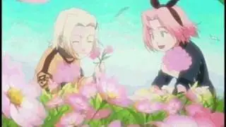 Naruto -najwięcej witaminy