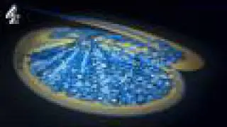 The Great Sperm Race | Sperm Journey | Channel 4
