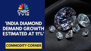 India&ndash;US Trade Agreement Will Lead To Strong Trade Growth: De Beers, CEO AI Cook | CNBC TV18