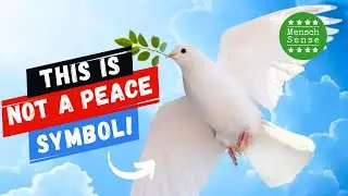 What the Dove & Olive Branch Really Means