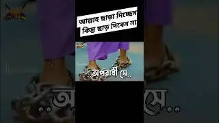 আল্লাহ ছাড় দেন, কিন্তু ছেড়ে দেন না।